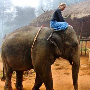 Dasha Anderson on an Elephant